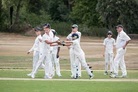 Image result for Old Wilsonians Cricket Club