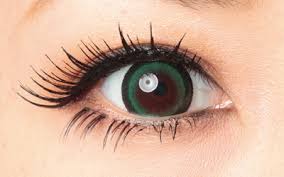 「レベッカ・アンダーソン DOG DAYS」の画像検索結果