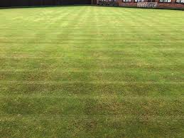 Image result for Belgrave Bowling Club