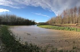 Image result for Borough Of Stockton Swim Scheme