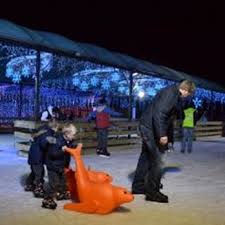 Image result for Milton Keynes Ice Skating Club