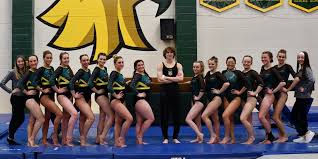 Image result for stonehaven gymnastics club