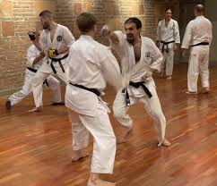 Image result for Mickleham Seiki Juku Karate Club