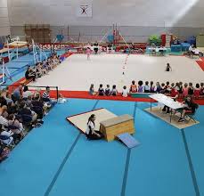 Image result for Horsham Gymnastics Club