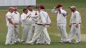Image result for Sibton Park Cricket Club