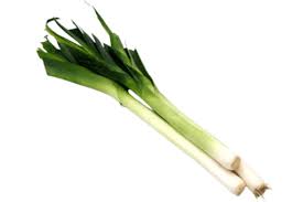 Image result for Porree