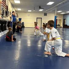 Image result for K5 Academy Of Martial Arts