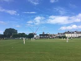 Image result for Yelverton Bohemians Cricket Club