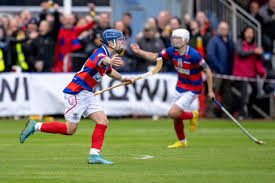 Image result for World of Shinty