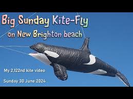 Image result for Brighton Kite Fliers
