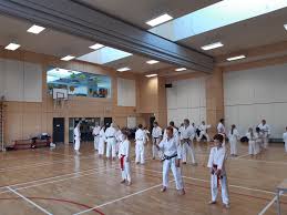 Image result for Levern Tora-Kai Karate Club