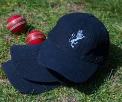 Image result for Minster Lovell Cricket Club