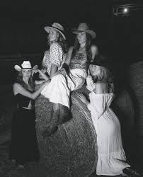 Attēlu rezultāti vaicājumam “Eilema depressa imago”