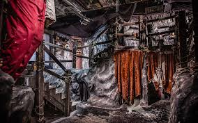 Image result for Genbukan Edinburgh