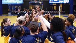 Image result for Elmbridge Girls Basketball Club