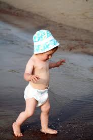 Attēlu rezultāti vaicājumam “Diaperis boleti imago”