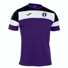 Image result for Ponteland Netball Club