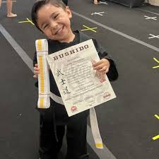 Image result for Villatoro Bushido Martial Arts