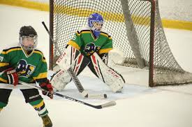 Image result for Adur Skater Hockey Club