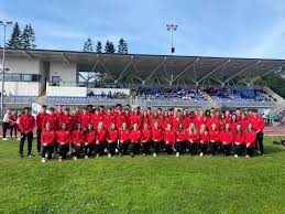 Image result for Pembrokeshire Harriers