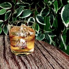 「スパイク・スピーゲル カウボーイビバップ」の画像検索結果