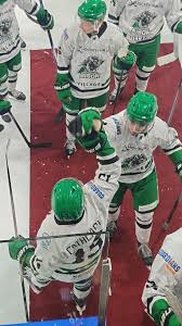 Image result for Basingstoke Bison Ice Hockey Club