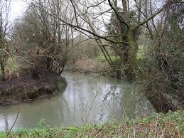 Image result for Bathampton Angling Association