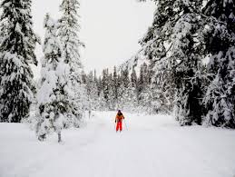 Image result for Scandinavian slope and cross country skiing