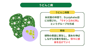 Image result for 生理現象ラキ