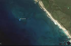 Image result for 3D Diving Club