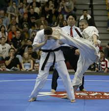 Image result for America's Best Karate