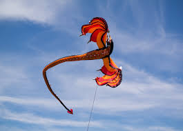 Image result for Brighton Kite Fliers