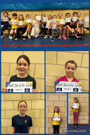 Image result for Monmouth Netball Club