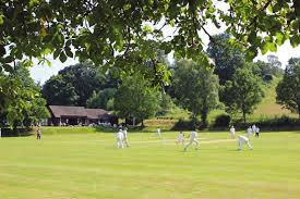 Image result for Abinger Sports Club