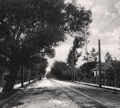 Image result for Paxmans Bowls Club