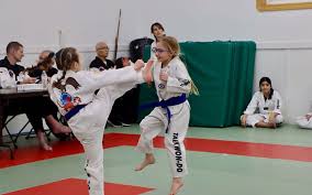 Image result for Parkgate Taekwondo Club