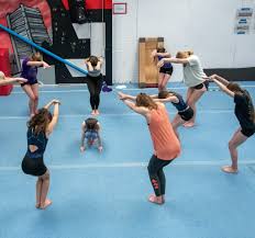 Image result for Basingstoke Gymnastics Club