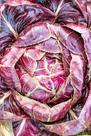 Image result for Chicorée