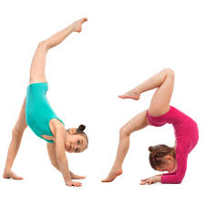 Image result for Elements Acro