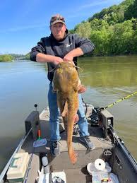 Image result for The Lancaster Fish