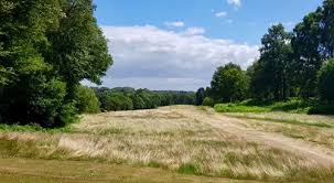 Image result for Peover Golf Club