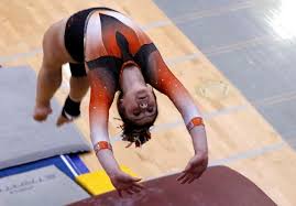 Image result for Vernon Park Gymnastics