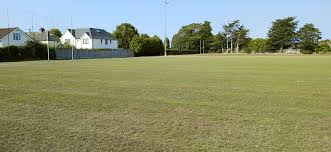 Image result for Ellingham and Ringwood Rfc