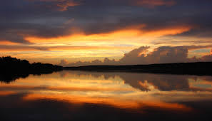 Image result for Slough