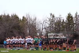 Image result for Swinton Lions