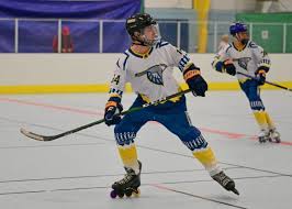 Image result for Walsall Roller Hockey Club
