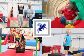 Image result for Pegasus Trampoline Club