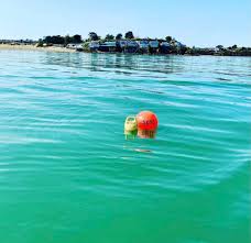 Image result for South Caernarvonshire Yacht Club