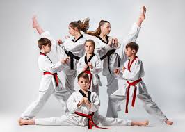 Image result for HEIWA SHOTOKAN KARATE CLUB