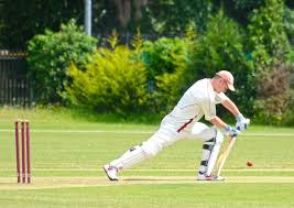 Image result for Moseley Ashfield Cc